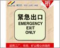 博爾杰 緊急出口指示牌 自發(fā)光指示牌 消防安全標(biāo)識-手機安防
